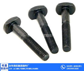 上海T型螺栓專業供應商 旺盈緊固件，金屬拉絲加工品質保障
